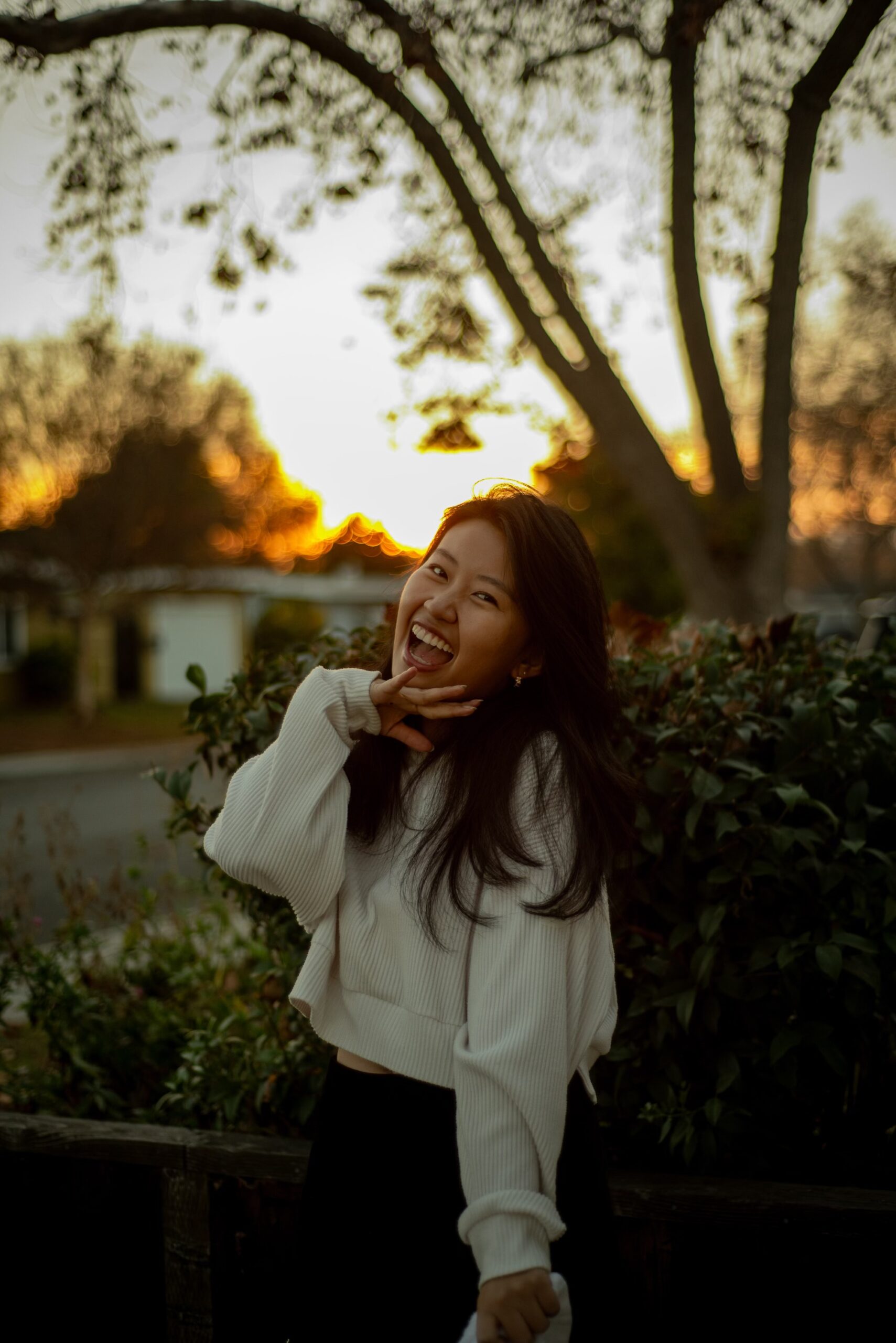 https://www.peninsuladogwalkers.com/wp-content/uploads/2025/03/Zimei-new-photo-scaled.jpeg